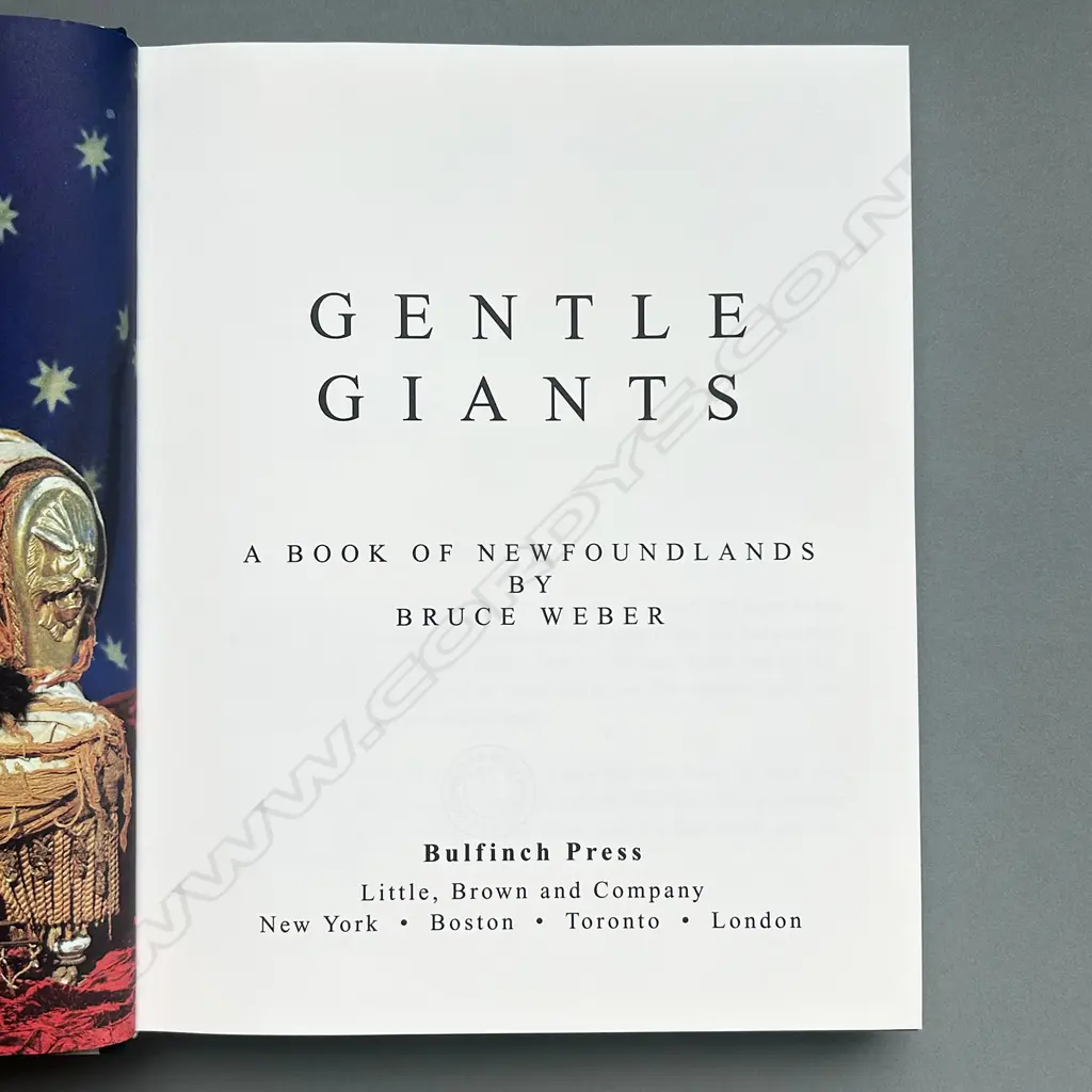 BRUCE WEBER: GENTLE GIANTS A BOOK OF NEWFOUNDLANDS Image 1++